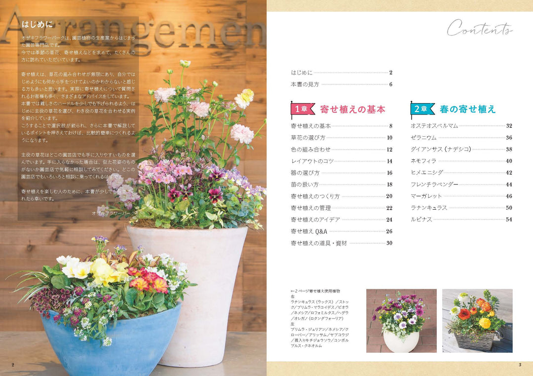 花の寄せ植え 主役の花が引き立つ組み合わせ – OZAKI ONLINE STORE